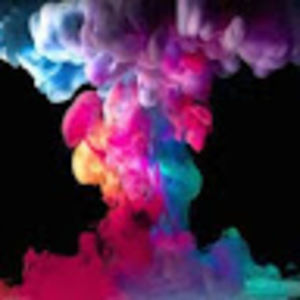 Meet your Posher, Lizzie